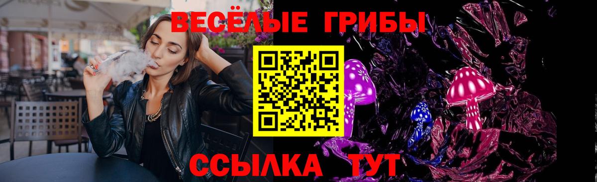 Подольск  Псилоцибиновые грибы Magic Shrooms  Вход с VPN 